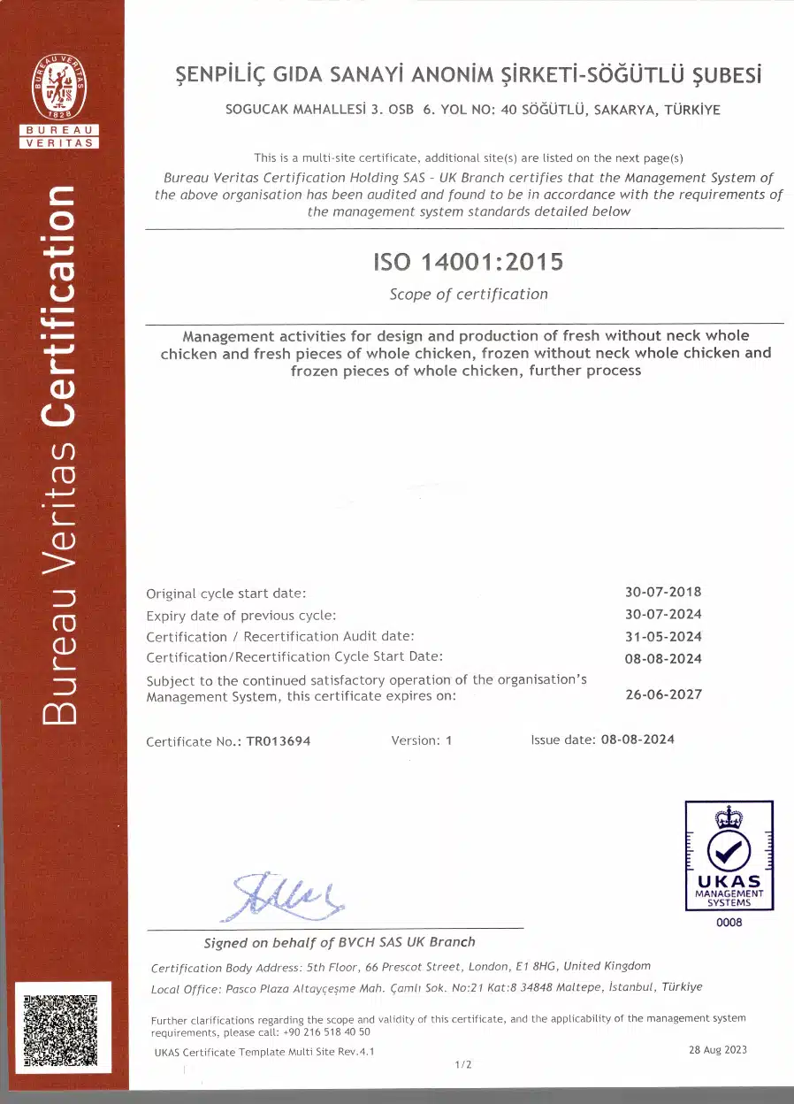 TS EN ISO 14001:2015