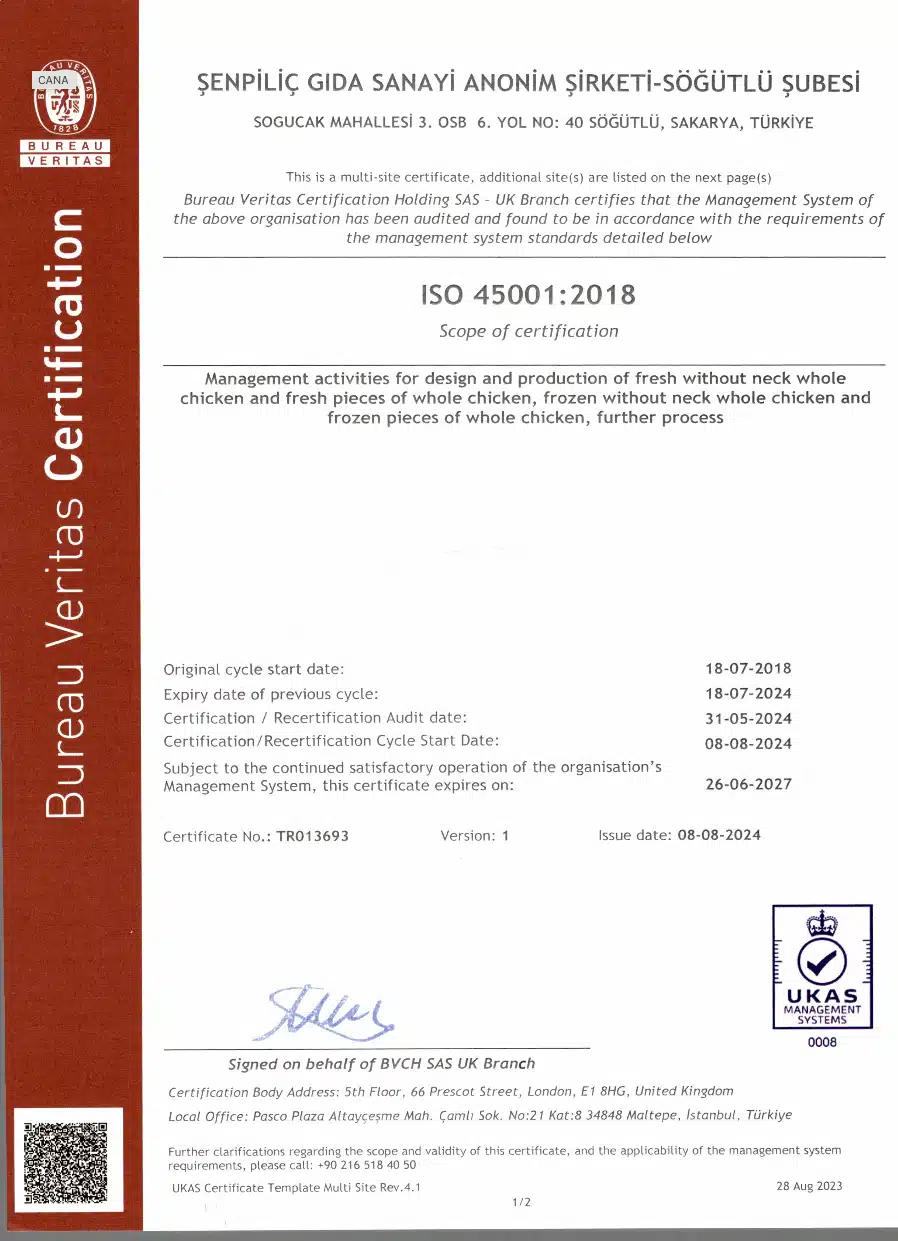 TS ISO 45001:2018